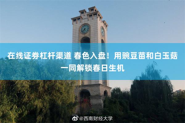 在线证劵杠杆渠道 春色入盘！用豌豆苗和白玉菇一同解锁春日生机
