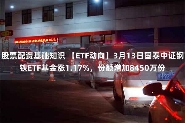 股票配资基础知识 【ETF动向】3月13日国泰中证钢铁ETF基金涨1.17%，份额增加8450万份