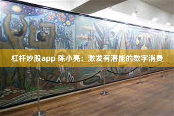 杠杆炒股app 陈小亮：激发有潜能的数字消费