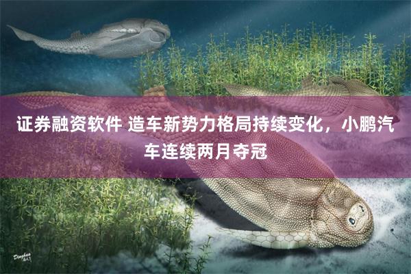 证券融资软件 造车新势力格局持续变化，小鹏汽车连续两月夺冠