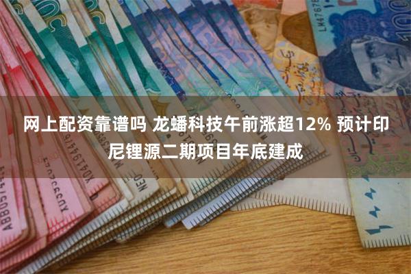 网上配资靠谱吗 龙蟠科技午前涨超12% 预计印尼锂源二期项目年底建成