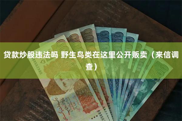 贷款炒股违法吗 野生鸟类在这里公开贩卖（来信调查）
