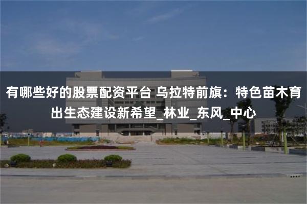 有哪些好的股票配资平台 乌拉特前旗：特色苗木育出生态建设新希望_林业_东风_中心
